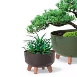 Prosperplast Macetero Antracita GRACIA 28,5 X28,5 X22 Cm 9,8 L 11 Prosperplast Macetero Antracita GRACIA 28,5 X28,5 X22 Cm 9,8 L -Intemperie Jardín Tienda 0e75ac732390a8de