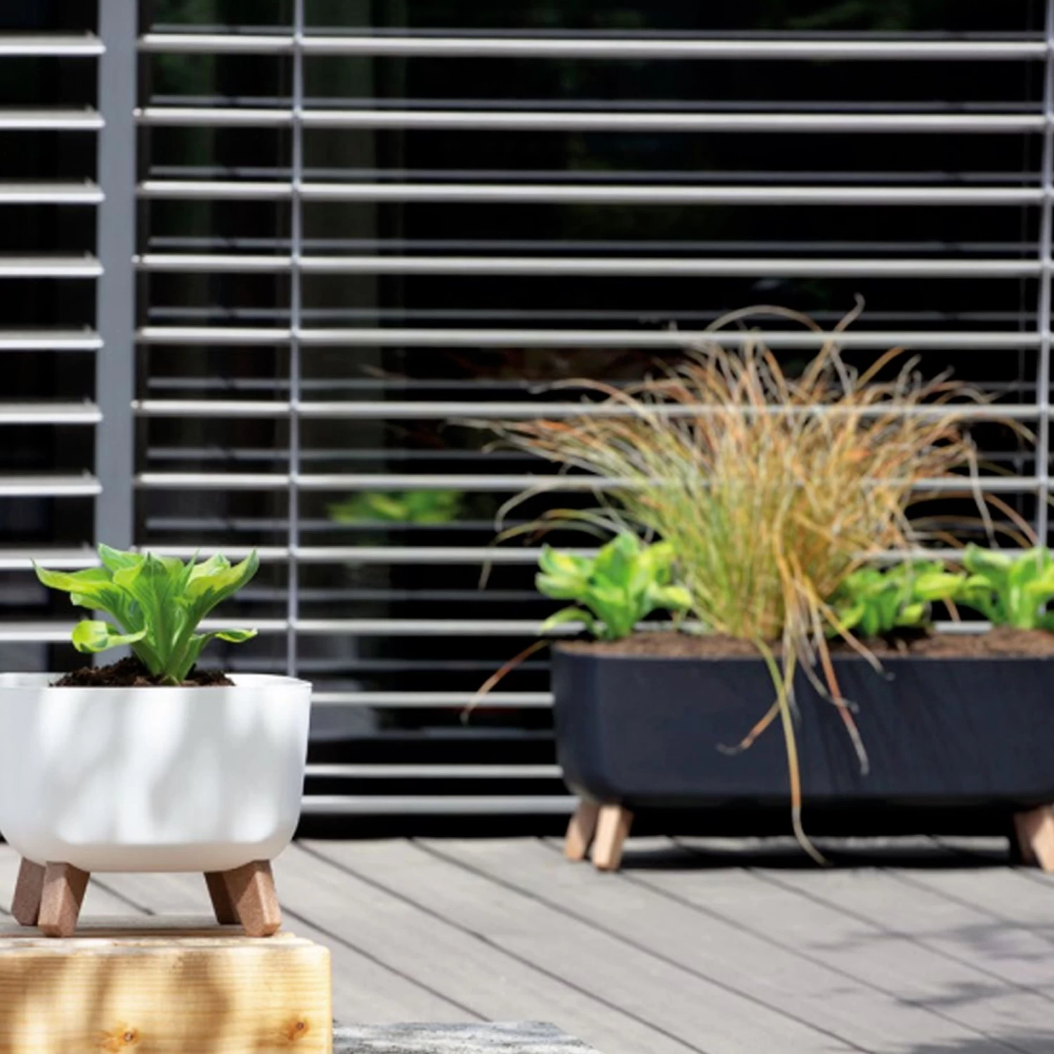 Prosperplast Macetero Vertierra GRACIA 38 X38 X19,5 Cm 14,3 L 8 Prosperplast Macetero Vertierra GRACIA 38 X38 X19,5 Cm 14,3 L - Imagen 6