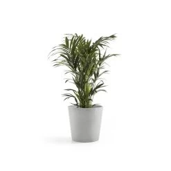 Ecopots Maceta Redonda Amsterdam 50 Blanco Gris - ø 50 X H. 43,8 Cm - 62 L 8 Ecopots Maceta Redonda Amsterdam 50 Blanco Gris - ø 50 X H. 43,8 Cm - 62 L -Intemperie Jardín Tienda 1811a599235913ee