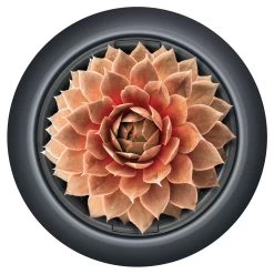 Prosperplast Maceta HEOS 32LCon Depósito 395x395x350 Cobre -Intemperie Jardín Tienda 2b27ac03e52d64b5