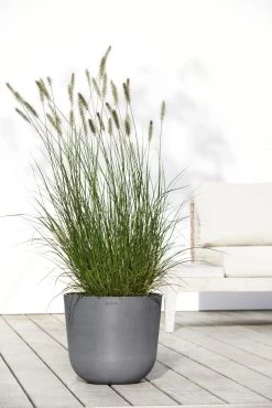 Ecopots Maceta Redonda Oslo 35 Gris - ø 35 X H. 30,5 Cm - 21,7 L 11 Ecopots Maceta Redonda Oslo 35 Gris - ø 35 X H. 30,5 Cm - 21,7 L -Intemperie Jardín Tienda 35d2b85efc36b1f4