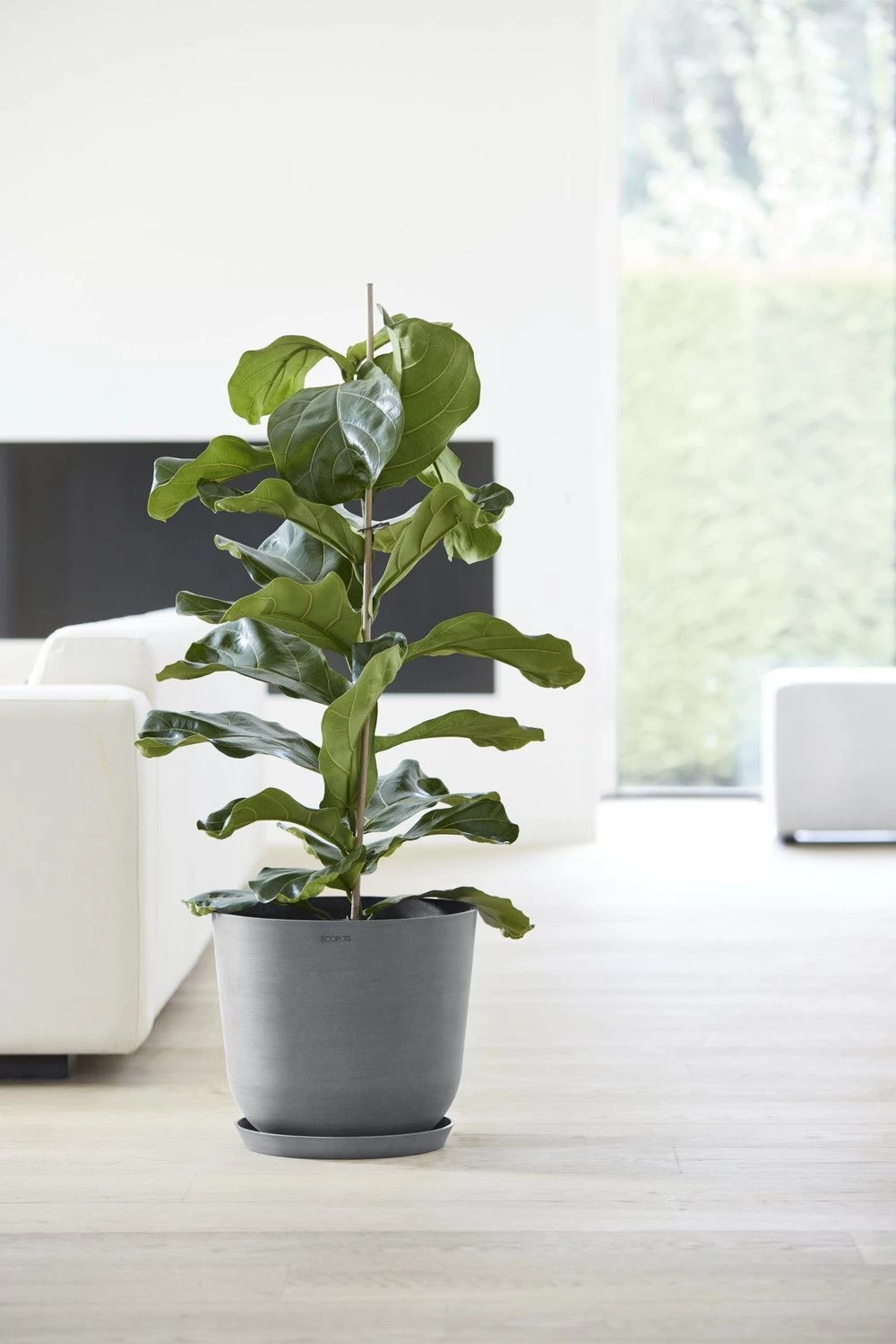 Ecopots Maceta Redonda Oslo 35 Gris - ø 35 X H. 30,5 Cm - 21,7 L 5 Ecopots Maceta Redonda Oslo 35 Gris - ø 35 X H. 30,5 Cm - 21,7 L - Imagen 3