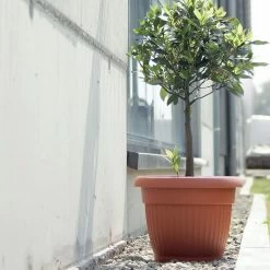 Prosperplast Maceta TERRA 38L 500x500x390 Antracita -Intemperie Jardín Tienda 423a6775684b2e75