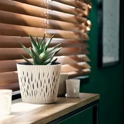 Prosperplast Macetero Ocre,con Depósito SANDY ROUND 26,2x26,2x22,2cm7,9 L 13 Prosperplast Macetero Ocre,con Depósito SANDY ROUND 26,2x26,2x22,2cm7,9 L -Intemperie Jardín Tienda 4729d8b8781998f5