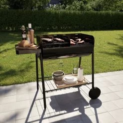 Barbacoa De Carbón Pondera