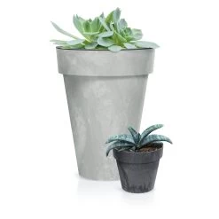 Prosperplast Maceta CUBE BETON EFFECT 12L., 300x300x266, Color Antracita -Intemperie Jardín Tienda 6385311742aa67.01894058