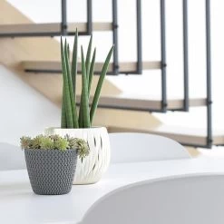 Prosperplast Maceta Redonda 28,2L Maceta Splofy De Plastico Color Menta, Ø39,1 X33 Cm -Intemperie Jardín Tienda 6385387c745b79.18894117