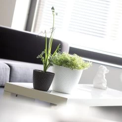 Prosperplast Maceta Redonda 28,2L Maceta Splofy De Plastico Color Menta, Ø39,1 X33 Cm -Intemperie Jardín Tienda 6385387cb07220.59163725