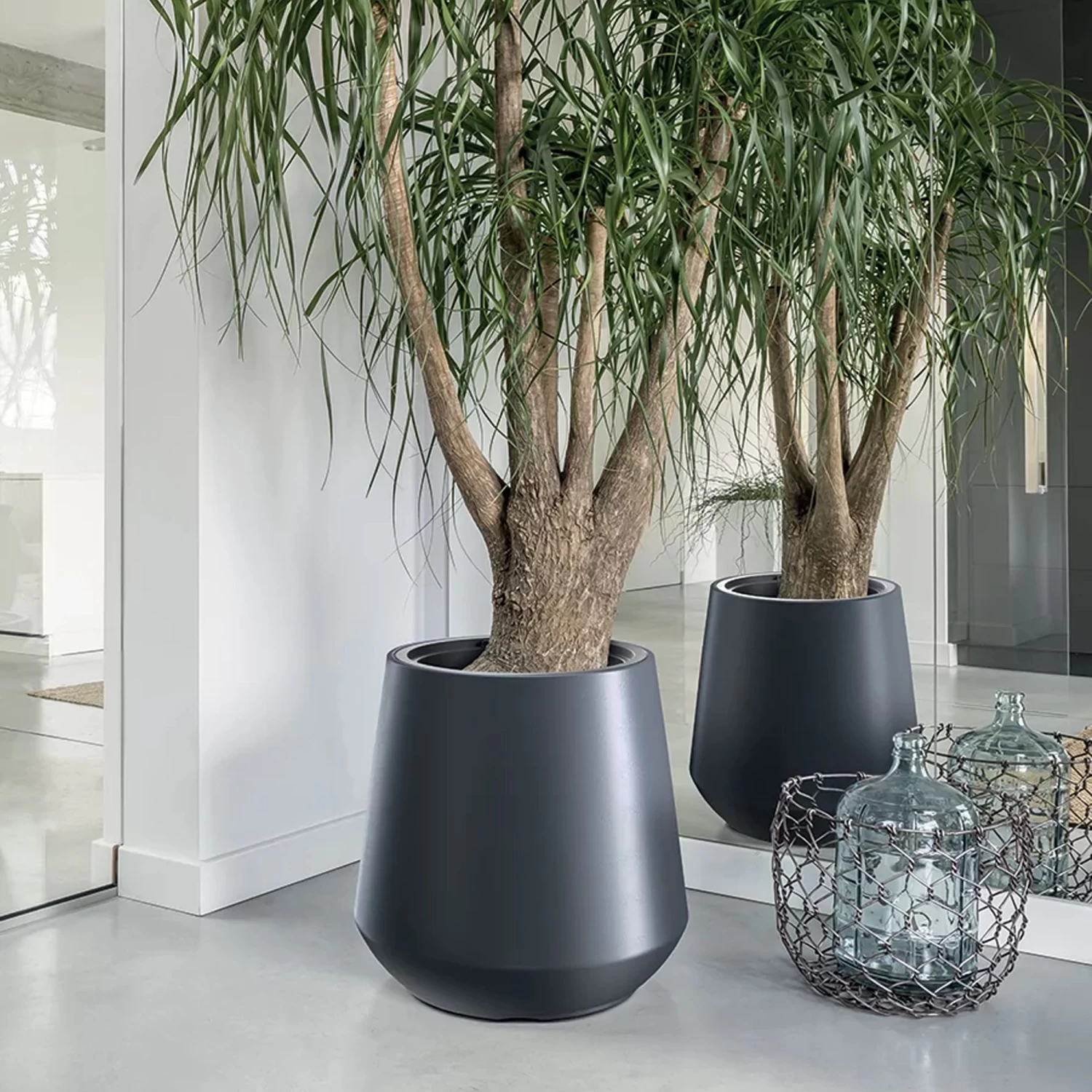 Prosperplast Maceta HEOS 51L., Con Depósito, 439x439x440, Color Antracita 6 Prosperplast Maceta HEOS 51L., Con Depósito, 439x439x440, Color Antracita - Imagen 5