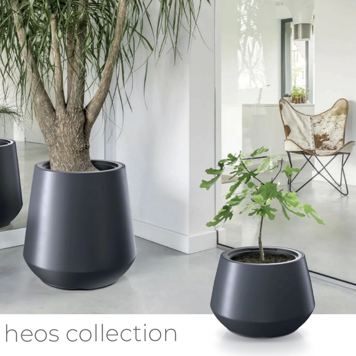 Prosperplast Maceta HEOS 51L., Con Depósito, 439x439x440, Color Antracita 3 Prosperplast Maceta HEOS 51L., Con Depósito, 439x439x440, Color Antracita - Imagen 2