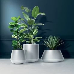 Prosperplast Maceta HEOS 51L., Con Depósito, 439x439x440, Color Antracita 12 Prosperplast Maceta HEOS 51L., Con Depósito, 439x439x440, Color Antracita -Intemperie Jardín Tienda 63853e7b1abc12.36851521