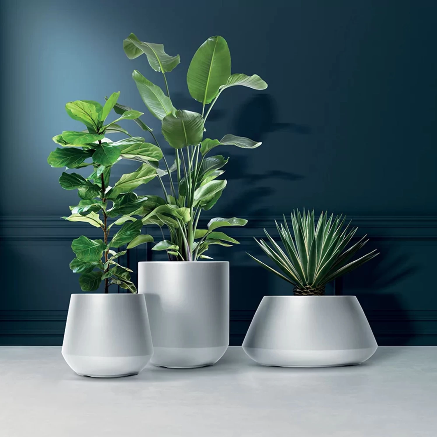 Prosperplast Maceta HEOS 51L., Con Depósito, 439x439x440, Color Antracita 7 Prosperplast Maceta HEOS 51L., Con Depósito, 439x439x440, Color Antracita - Imagen 6