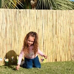 Cañizo Partido 2 X 5 M -Intemperie Jardín Tienda 8431978100034 23c BI