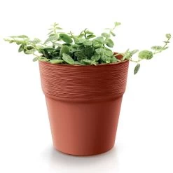 Prosperplast Maceta FURU 147x147x148 Blanco -Intemperie Jardín Tienda 8b55796a21feffa2