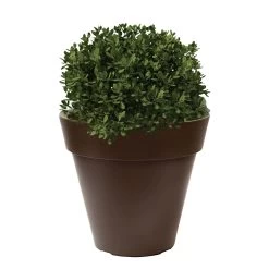 WellHome Macetero Polietileno Por Rotomoldeo Bronce 35x30 Cm -Intemperie Jardín Tienda 9cc3c4b807380036