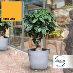 Maceta Tipo Truncado Ø 75 Cm CON RUEDAS Para Facilitar Su Traslado -Intemperie Jardín Tienda a04b7dc7ec77c251