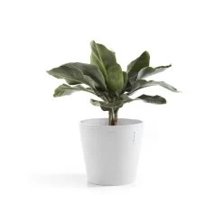 Ecopots Maceta Redonda Amsterdam 25 Pure White - ø 25,4 X H. 24,5 Cm - 9,7 L -Intemperie Jardín Tienda b6b0f2522b1f47a3
