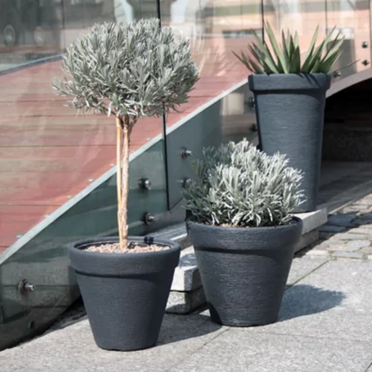 Prosperplast Maceta CLASSIC 36L 450x450x390 Antracita 6 Prosperplast Maceta CLASSIC 36L 450x450x390 Antracita - Imagen 4