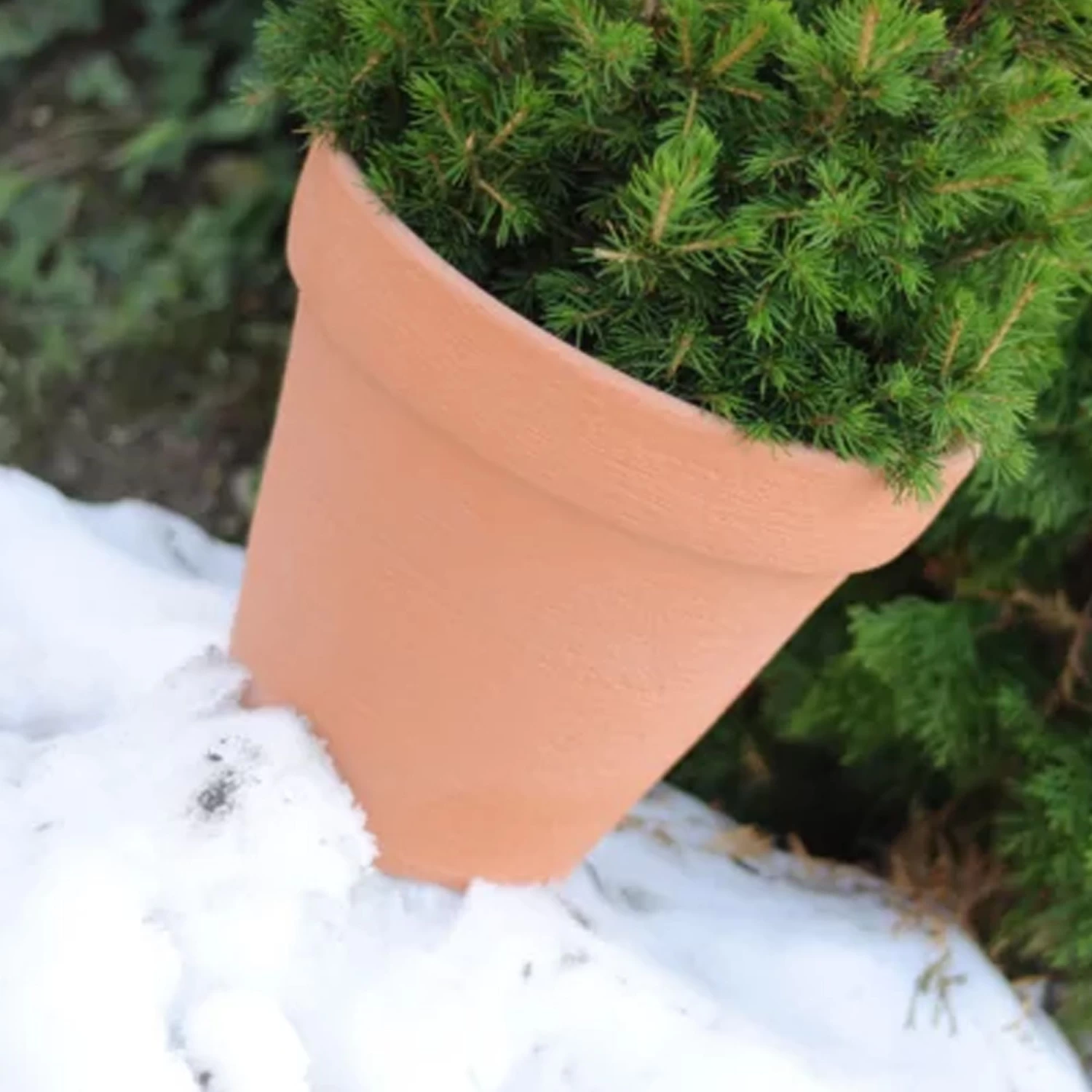 Prosperplast Maceta CLASSIC 23L 400x400x340 Ladrillo 5 Prosperplast Maceta CLASSIC 23L 400x400x340 Ladrillo - Imagen 3