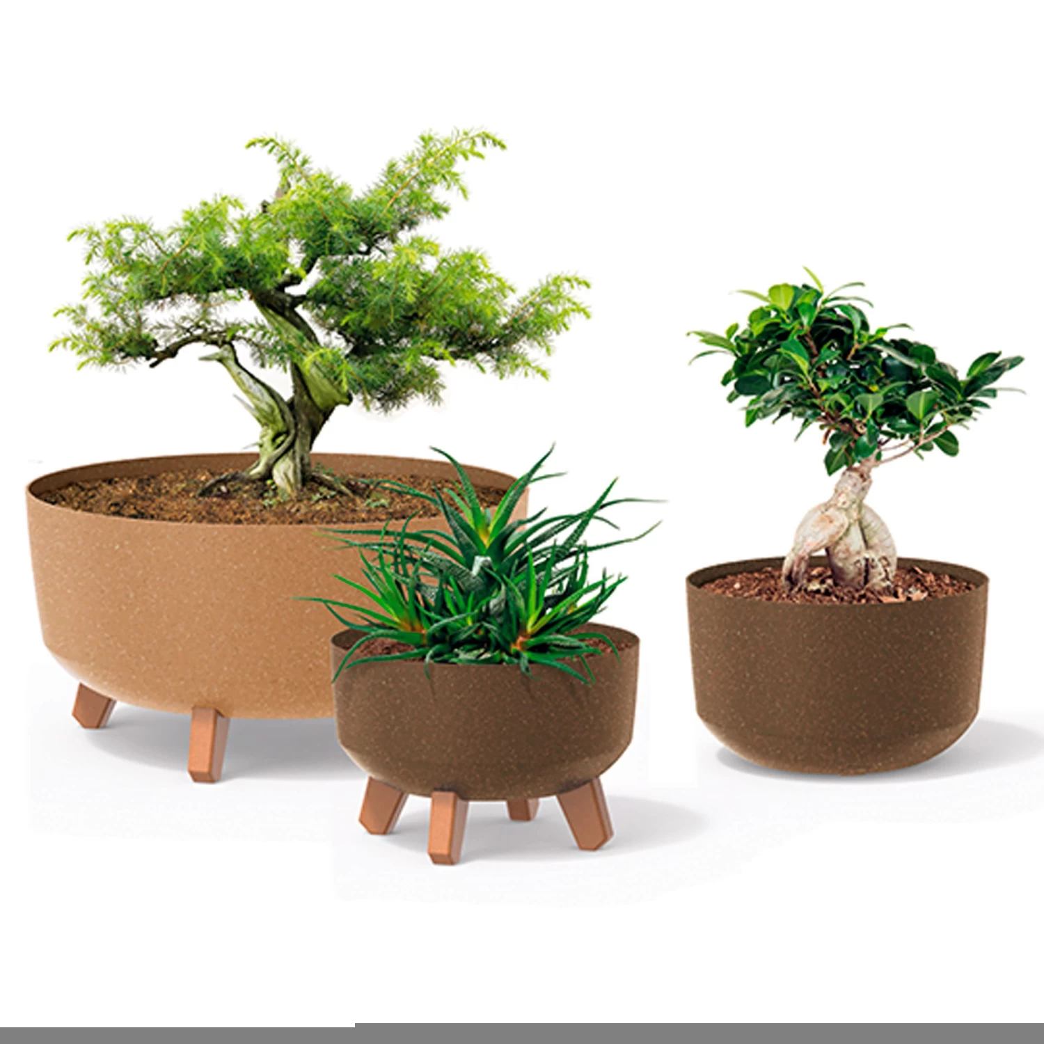 Prosperplast Macetero Antracita GRACIA 28,5 X28,5 X22 Cm 9,8 L 7 Prosperplast Macetero Antracita GRACIA 28,5 X28,5 X22 Cm 9,8 L - Imagen 5