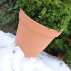 Prosperplast Maceta CLASSIC 36L 450x450x390 Antracita 9 Prosperplast Maceta CLASSIC 36L 450x450x390 Antracita -Intemperie Jardín Tienda f66d5028606a59df